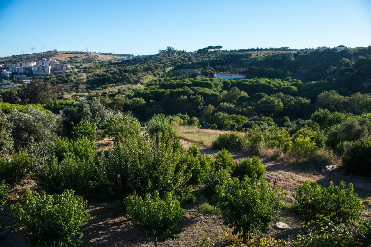 Quinta Montebelo Villa Vila Franca de Xira Bagian luar foto